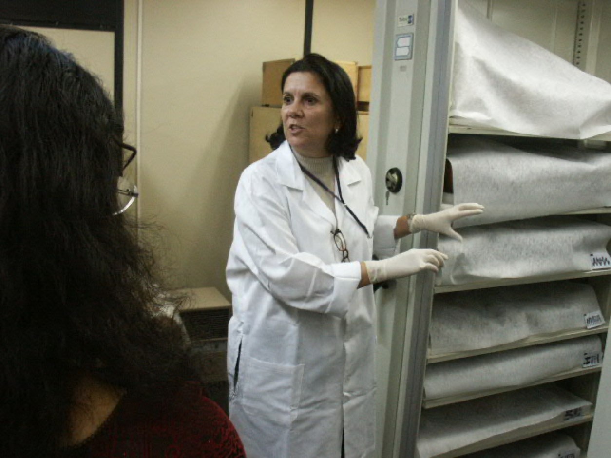 Kolloquium Interkultureller Studien 2004. São Paulo